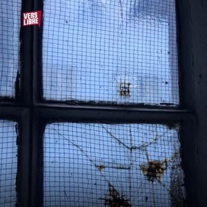 D&B Society with Karl Bird, MarkQ, Yuna Meskalin, and Tellev