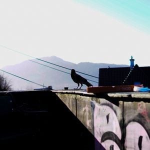 D&B Society: 140 Special  with Crowley (NL), Karl Bird